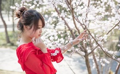 久草在线精品ac